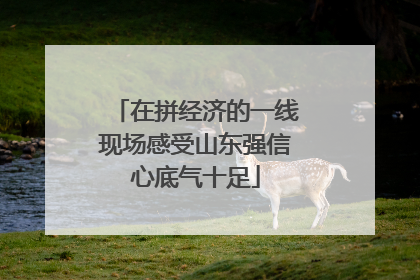 在拼经济的一线现场感受山东强信心底气十足