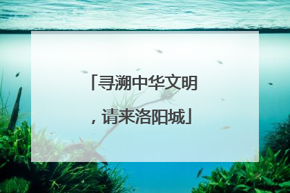 寻溯中华文明，请来洛阳城