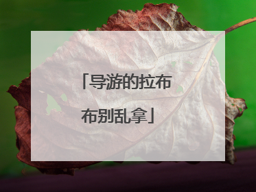 导游的拉布布别乱拿