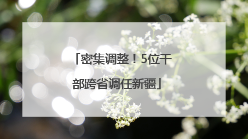 密集调整！5位干部跨省调任新疆