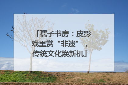 孺子书房：皮影戏里赏“非遗”，传统文化焕新机