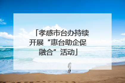 孝感市台办持续开展“惠台助企促融合”活动