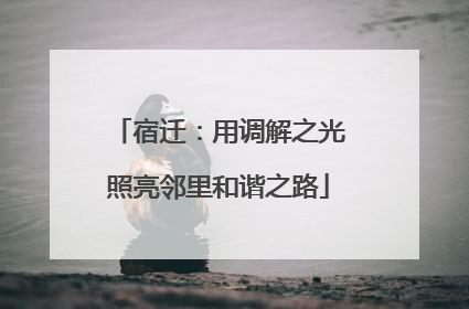 宿迁：用调解之光照亮邻里和谐之路