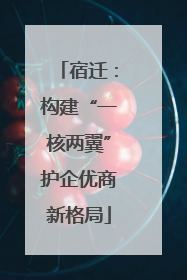 宿迁：构建“一核两翼”护企优商新格局