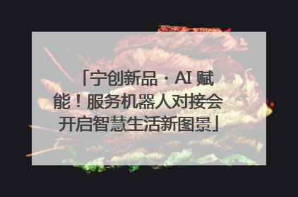宁创新品・AI 赋能！服务机器人对接会开启智慧生活新图景