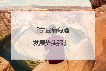 宁夏葡萄酒发展势头强