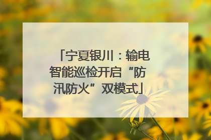 宁夏银川：输电智能巡检开启“防汛防火”双模式