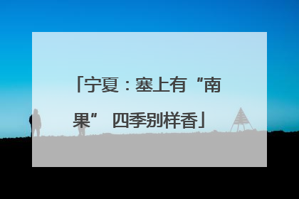 宁夏：塞上有“南果” 四季别样香