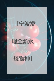 宁波发现全新水母物种