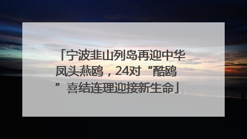 宁波韭山列岛再迎中华凤头燕鸥，24对“酷鸥”喜结连理迎接新生命