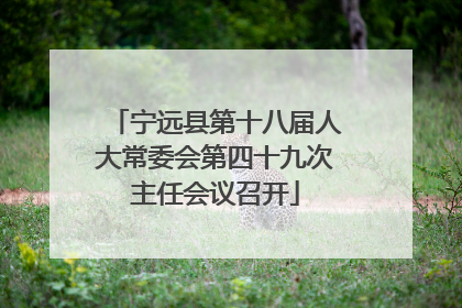 宁远县第十八届人大常委会第四十九次主任会议召开