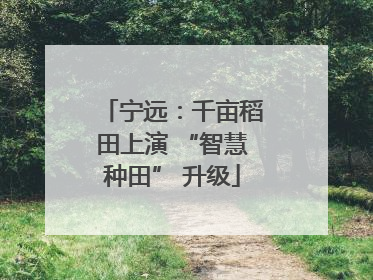 宁远：千亩稻田上演 “智慧种田” 升级