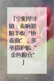 宁阳华丰镇：奏响夏粮丰收“协奏曲”，多举措护航“金色粮仓”
