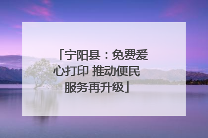 宁阳县：免费爱心打印 推动便民服务再升级
