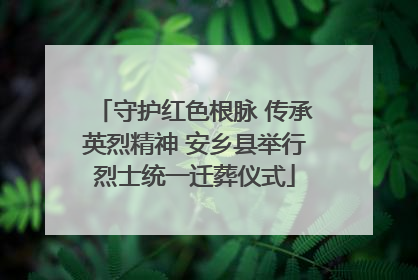 守护红色根脉 传承英烈精神 安乡县举行烈士统一迁葬仪式