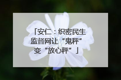 安仁：织密民生监督网让“鬼秤”变“放心秤”