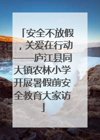 安全不放假，关爱在行动——庐江县同大镇农林小学开展暑假前安全教育大家访