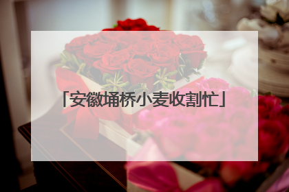 安徽埇桥小麦收割忙