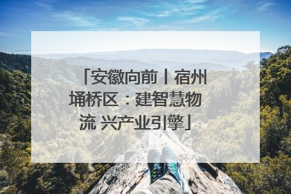 安徽向前丨宿州埇桥区：建智慧物流 兴产业引擎