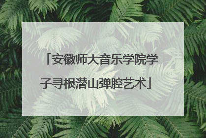 安徽师大音乐学院学子寻根潜山弹腔艺术