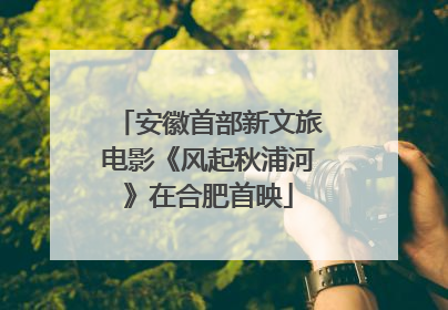 安徽首部新文旅电影《风起秋浦河》在合肥首映