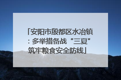 安阳市殷都区水冶镇：多举措备战“三夏” 筑牢粮食安全防线