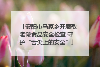 安阳市马家乡开展敬老院食品安全检查 守护“舌尖上的安全”