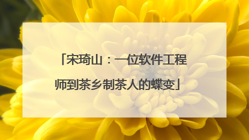 宋琦山：一位软件工程师到茶乡制茶人的蝶变