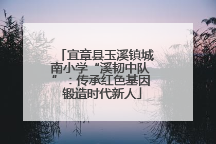 宜章县玉溪镇城南小学“溪韧中队”：传承红色基因 锻造时代新人