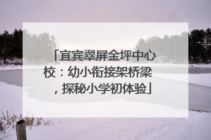 宜宾翠屏金坪中心校：幼小衔接架桥梁，探秘小学初体验