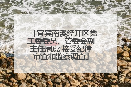 宜宾南溪经开区党工委委员、管委会副主任周虎 接受纪律审查和监察调查