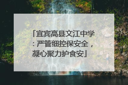 宜宾高县文江中学：严管细控保安全，凝心聚力护食安