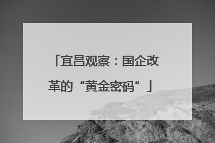 宜昌观察：国企改革的“黄金密码”