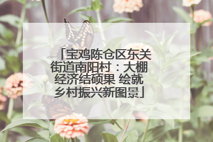 宝鸡陈仓区东关街道南阳村：大棚经济结硕果 绘就乡村振兴新图景