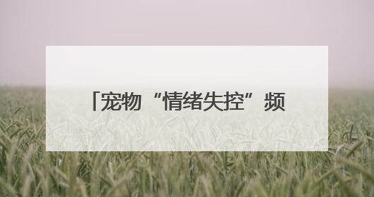 宠物“情绪失控”频繁咬伤主人 医生：宠物夏季易情绪中暑