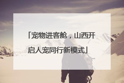 宠物进客舱，山西开启人宠同行新模式