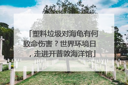 塑料垃圾对海龟有何致命伤害？世界环境日，走进开普敦海洋馆
