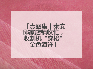 壹图集丨泰安邱家店镇收忙，收割机“穿梭”金色海洋