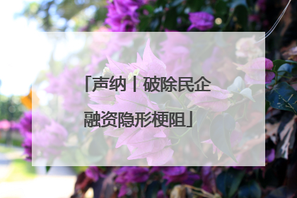 声纳丨破除民企融资隐形梗阻