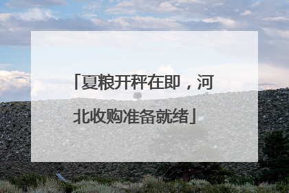 夏粮开秤在即，河北收购准备就绪
