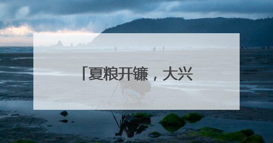 夏粮开镰，大兴长子营镇近6000亩小麦迎丰收