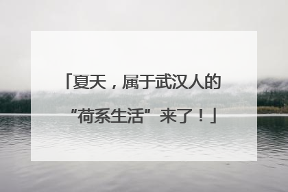 夏天，属于武汉人的“荷系生活”来了！