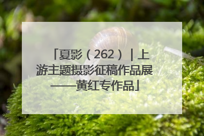 夏影（262）｜上游主题摄影征稿作品展——黄红专作品