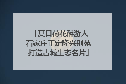 夏日荷花醉游人 石家庄正定隆兴别苑打造古城生态名片