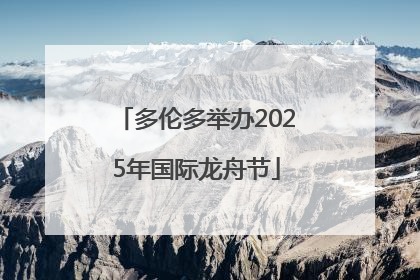 多伦多举办2025年国际龙舟节