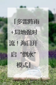 多雷阵雨+局地强对流！海口开启“倒水”模式