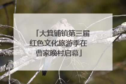 大箕铺镇第三届红色文化旅游季在曹家晚村启幕