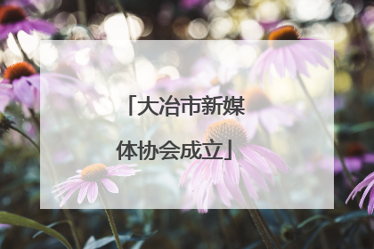 大冶市新媒体协会成立