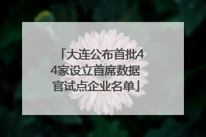 大连公布首批44家设立首席数据官试点企业名单