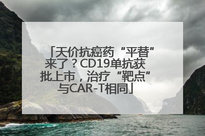 天价抗癌药“平替”来了？CD19单抗获批上市，治疗“靶点”与CAR-T相同